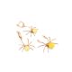 Trendy Honey Amber Spider Pendant, image , picture 4