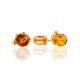 Luminous Amber Stud Earrings, image 