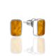 Minimalist Design Amber Stud Earrings The Palazzo, image 