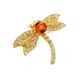 Gold Plated Dragonfly Brooch With Amber And Crystals The Beoluna, image 
