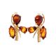 Bold Cognac Amber Earrings In Gold-Plated Silver The Verbena, image 