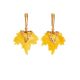 Drop Amber Earrings In Gold The Canada, image 
