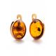 Lovely Amber Earrings In Gold-Plated Silver The Suite Collection, image 