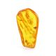 Amber Souvenir Stone With Fly Inclusion, image 