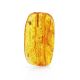 Textured Amber Stone With Fly Inclusion, image 