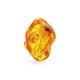 Unique Amber Stone With Insect Inclusions, image 