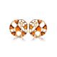Round Gold-Plated Earrings With Cognac Amber The Domino, image 