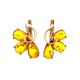 Refined Amber Earrings In Gold The Dandelion, image 