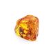 Natural Textured Amber Stone With Ant Inclusion, image 