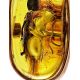 Amber Ring With Inclusions In Gold The Clio, Ring Size: 6.5 / 17, image , picture 2