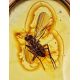 Oval Amber Ring With Inclusions In Gold The Clio, Ring Size: 6.5 / 17, image , picture 3