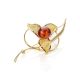 Cognac Amber Brooch In Gold Plated Silver The Beoluna, image 