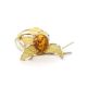 Gold Plated Brooch With Cherry Amber The Beoluna, image 