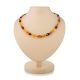 Multicolor Amber Beaded Necklace, image 