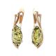 Green Amber Earrings In Gold The Verbena, image 