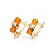 Cylindrical Shape Baltic Amber Earrings In Gold With Crystals The Scandinavia, image 