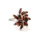 Cherry Amber Ring In Sterling Silver The Dahlia, Ring Size: 12 / 21.5, image 