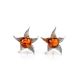 Delicate Amber Studs In Sterling Silver The Persimmon, image 