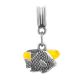 Charm With Honey Amber The Fish, image 