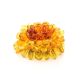 Multicolor Amber Brooch The Chrysanthemum, image 