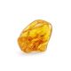 Natural Amber Stone With Mosquito Inclusion, image 