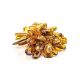 Cognac Amber Brooch The Chrysanthemum, image , picture 4