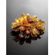Cognac Amber Brooch The Chrysanthemum, image , picture 2