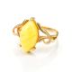 Bold Gold-Plated Ring With Honey Amber The Constance, Ring Size: 12 / 21.5, image , picture 4