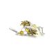 Drop Amber Earrings In Sterling Silver The Bee, image , picture 4