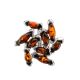 Cherry Amber Earrings In Sterling Silver The Dahlia, image , picture 4