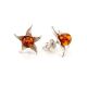 Delicate Amber Studs In Sterling Silver The Persimmon, image , picture 5