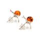 Delicate Amber Studs In Sterling Silver The Persimmon, image , picture 6