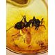Round Amber Golden Ring With Inclusion The Clio, Ring Size: 7 / 17.5, image , picture 2
