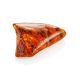 Large Amber Stone With Inclusions, image , picture 6