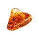 Large Amber Stone With Inclusions, image , picture 8