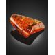 Large Amber Stone With Inclusions, image , picture 5