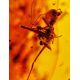 Large Amber Stone With Inclusions, image , picture 3