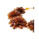 Cognac Amber Necklace The Chrysanthemum, image , picture 5