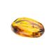 Colombian Amber Stone With Inclusions, image , picture 7