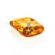 Souvenir Amber Stone With Floral Inclusion, image , picture 5