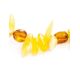 Multicolor Amber Chocker Necklace, image , picture 3