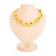 Multicolor Amber Chocker Necklace, image 
