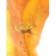 Natural Amber Stone With Inclusion, image , picture 5