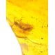 Natural Amber Stone With Inclusion, image , picture 3
