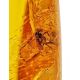 Elongated Amber Stone With Inclusions, image , picture 2