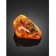 Natural Amber Stone With Mosquito Inclusion, image , picture 3