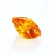 Glossy Amber Stone With Spider Inclusion, image , picture 5