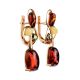 Golden Earrings With Multicolor Amber The Symphony, image , picture 4