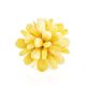 Adjustable Amber Ring The Chrysanthemum, Ring Size: Adjustable, image , picture 4