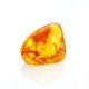Glossy Amber Stone With Spider Inclusion, image 